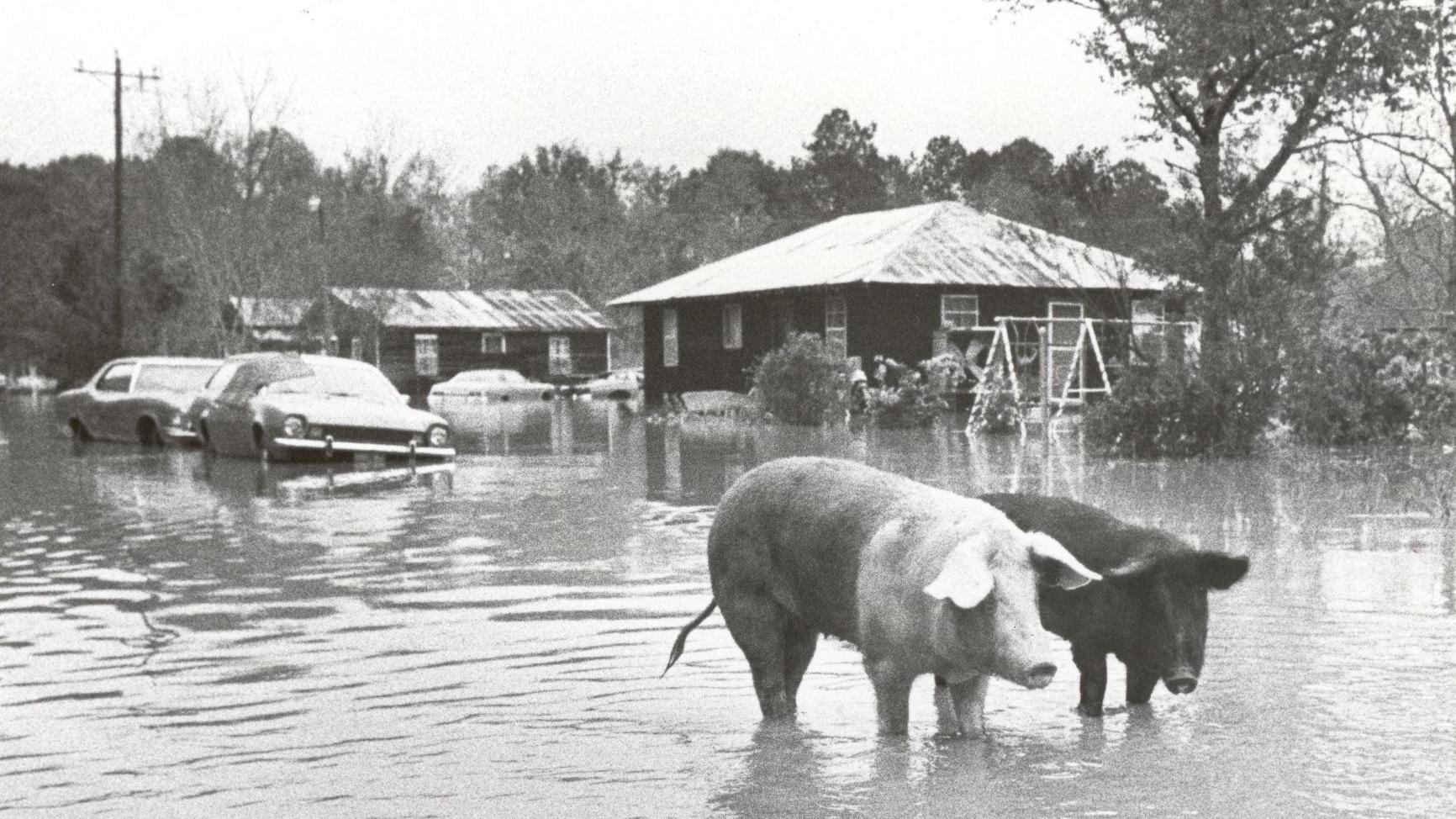 40 years later, Louisiana agrees to pay $100 million in I-12 flooding lawsuit